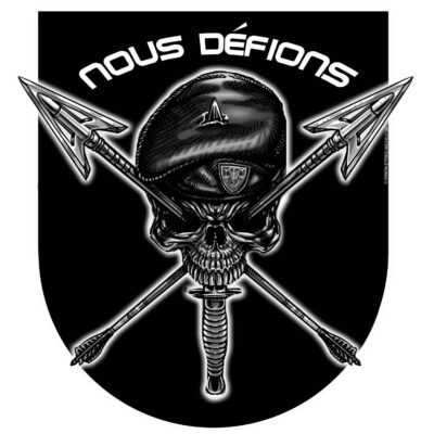 Nous Defions Special Forces Crossed Arrows Army Veteran 3-18 Inch Custom Decal Sticker